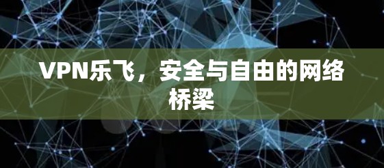 VPN乐飞，安全与自由的网络桥梁