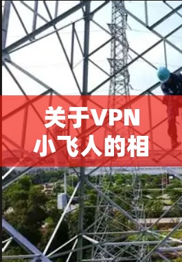 关于VPN小飞人的相关信息,目前没有明确指向某个特定品牌或软件。在中国,VPN的使用受到严格监管,未经授权的VPN服务可能涉及法律风险。以下是几点重要提示