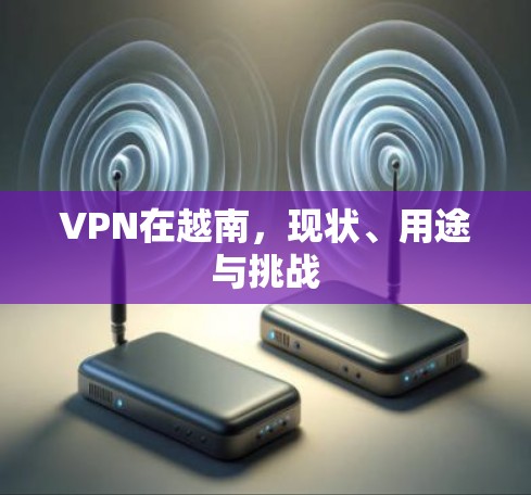 VPN在越南，现状、用途与挑战
