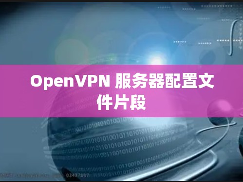 OpenVPN 服务器配置文件片段